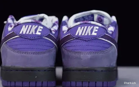 Concepts Purple SB Nike Low Lobster Dunk BV1310-555 0707